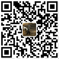 the qr code